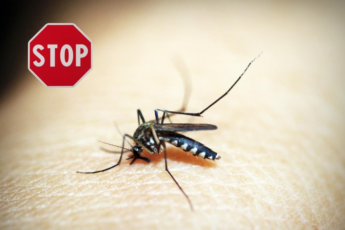 Zanzare e segnale stop
