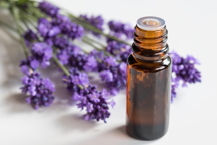 Olio essenziale di lavanda 